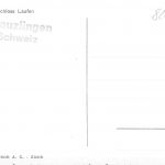 CH Schaffhausen Rheinfall mit Schloss Laufen ngl 186.779