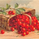 Stilleben Korb mit Kirschen 186.880