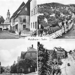 Waldheim i.Sa. Mehrbildkarte ngl 187.507