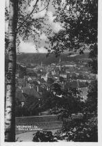 Waldheim i.Sa. Blick von der Carolahöhe ngl 187.526