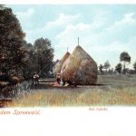 Spreewald bei Lehde ngl 187.838