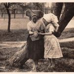 Spreewald Die befriedigte Neugier gl1931 187.851