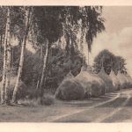 Straupitz Heuschober ngl 187.872