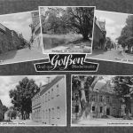 Golssen Mehrbildkarte gl1961 187.983