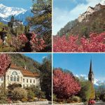 FL Liechtenstein Mehrbildkarte ngl 188.052