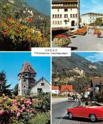 FL Vaduz Mehrbildkarte ngl 188.053