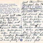 USA Washington Japanese Cherry Blossoms ngl 188.062