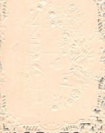 Glückwunsch zum neuen Jahre, Stoff, Prägung, Glitzer, keine AK ngl 188.092