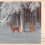 Glückwunsch Herzliche Weihnachtsgrüße ngl 188.098