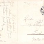 Tiere Pferde Künstlerkarte gl1910 188.099