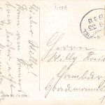 Tiere Vögel Künstlerkarte bahnpgl1913 188.100