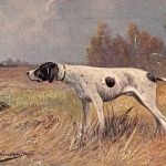Tiere Hunde Künstlerkarte 1905 gl1910 188.102
