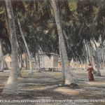 USA Long Key, Long Key Fishing Camp ngl 188.442