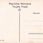 Mex China Poblana ngl 188.553