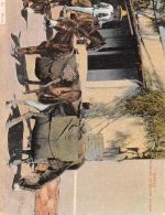 Mex Arrieros cargando pulque ngl 188.571