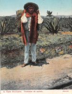 Mex Vendedor de carbon ngl 188.593