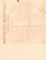 Mex Cargador ngl 188.594