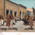 Mex Loaded burros ngl 188.601