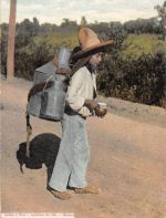 Mex Muchacho lechero ngl 188.610