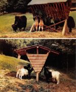 Fürth i. Odw., Bergtierpark Erlenbach Mehrbildkarte ngl 188.818