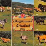 Fürth i. Odw., Bergtierpark Erlenbach Mehrbildkarte ngl 188.820