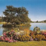 Oberursel a.T. Weiher Archivkarte Metz-Verlag ngl 188.896