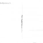 Gau-Algesheim Panorama Fotokarte ngl 189.018