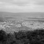 Gau-Algesheim Panorama Fotokarte ngl 189.022