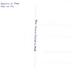 Gau-Algesheim Panorama Fotokarte ngl 189.022