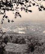 Gau-Algesheim Panorama Fotokarte ngl 189.026