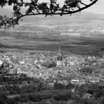 Gau-Algesheim Panorama Fotokarte ngl 189.029