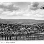 Gau-Algesheim in der Baumblüte ngl 189.030