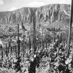 Ebernburg b.Bad Münster am Stein Panorama ngl 189.039