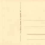 Moritzburg Fütterung der Wildschweine ngl 189.798