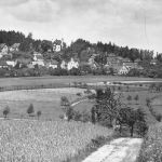 Hartha Panorama gl1962 189.850