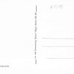 Potsdam - Sanssouci Blick auf die Historische Windmühle ngl 190.213