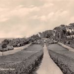 Insel Poel Schwarzer Busch ngl 190.231