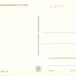 Mandelholz (Harz) Rappbodetalsperre ngl 190.246