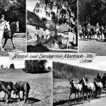 Marbach/Alb Mehrbildkarte ngl 190.442