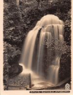 Sächs. Schweiz Amselfall gl1928 191.061