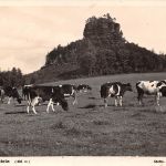 Sächsische Schweiz Zirkelstein ngl 191.104