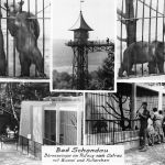 Bad Schandau Bärenzwinger Mehrbildkarte gl1963 191.271