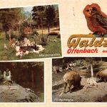 Offenbach a.M. Waldzoo Mehrbildkarte ngl 191.561