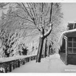 Mönchswalder Berg Bergbaude gl1941 192.317