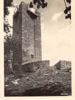 Hainewald Turm a. d. Breitenberg gl1958 192.772
