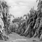 Oybin Hochwaldbaude gl1953 192.873