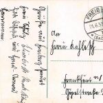 Freiberg (Sachsen) Johannispark gl1930 193.211