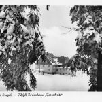 Ober-Holzhau FDGB-Ferienheim "Fortschritt" gl1959 193.229