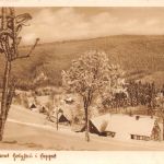 Holzhau i. Erzgeb. Panorama im Winter gl1942 193.236