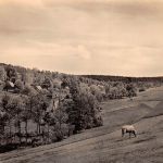 Mulda Teilansicht gl 193.294